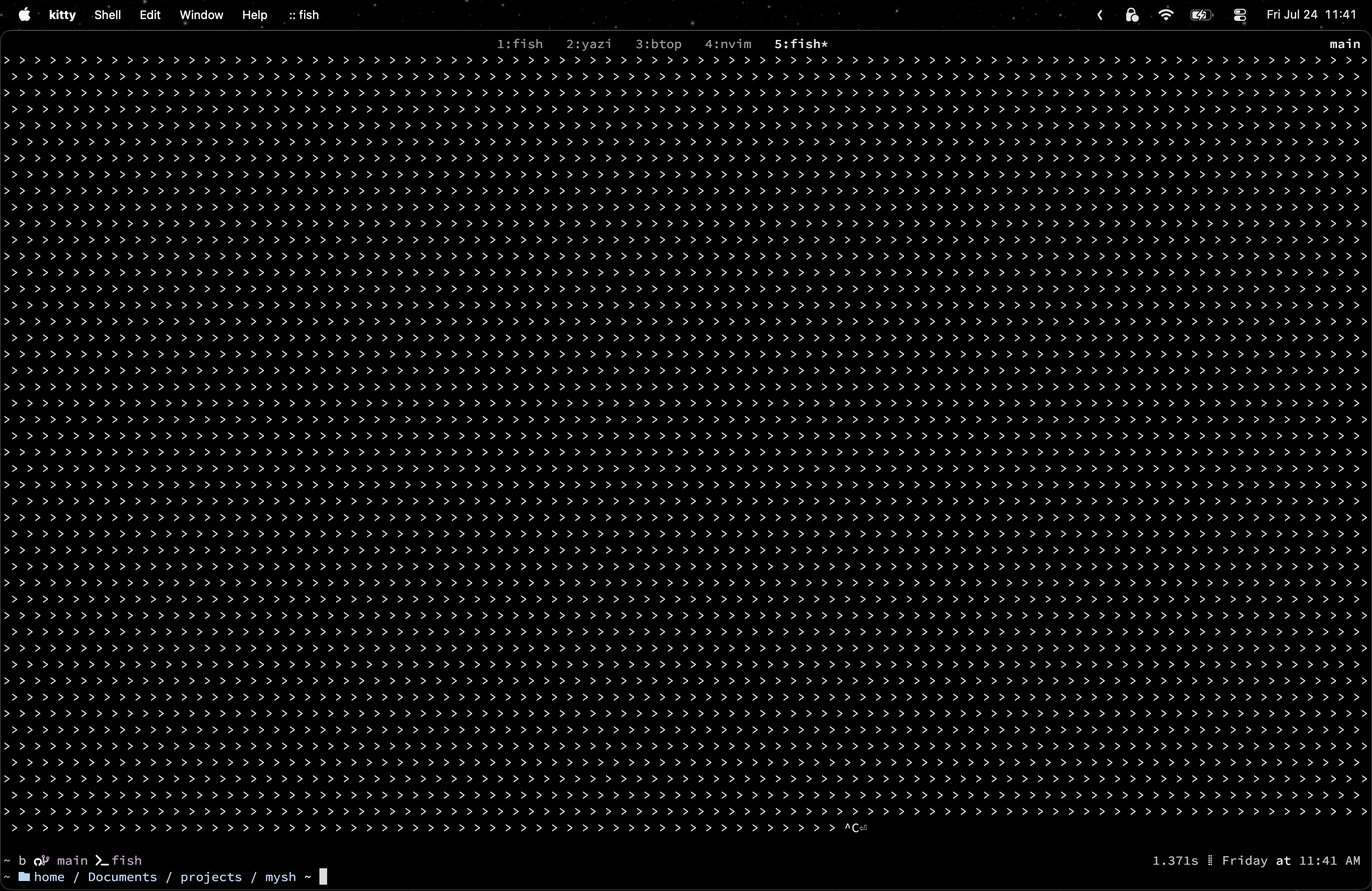 fgets bug example